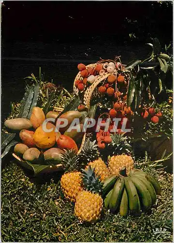 Cartes postales moderne Martinique Antilles Francaise Corbeille de fruits Antillais