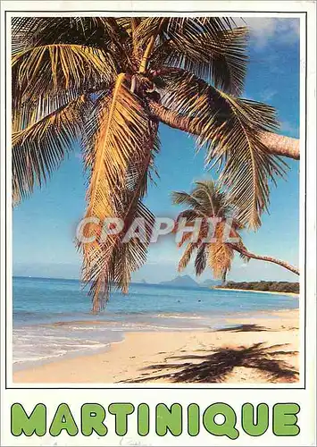 Cartes postales moderne Martinique Il etait une fois la Martinique Plage des Salines