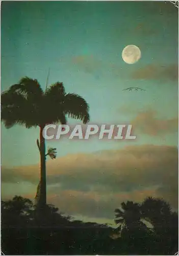 Cartes postales moderne Martinique Aurore sous les tropiques