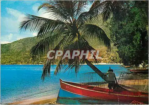 Cartes postales moderne Martinique Antillais Francaise Village de pecheurs