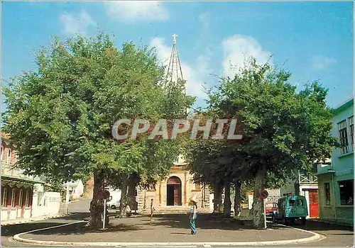 Cartes postales moderne Martinique Sainte-Anne La Place