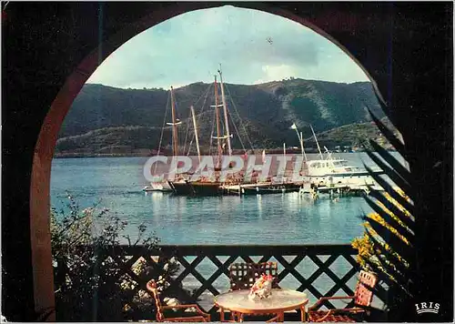 Cartes postales moderne Martinique Les Boucaniers Club Mediterranee