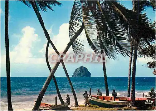 Cartes postales moderne Martinique Le Diamant