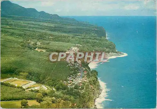 Cartes postales moderne Martinique Macouba et ses falaises (vue aerienne)