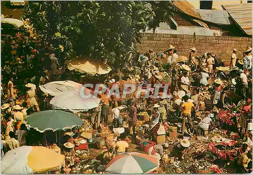 Cartes postales moderne Martinique Fort-de-France Marche en plein air