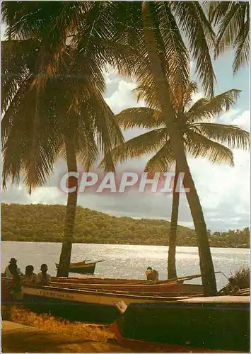 Cartes postales moderne Martinique Trinite Tartane Le bord de mer l'apres-midi