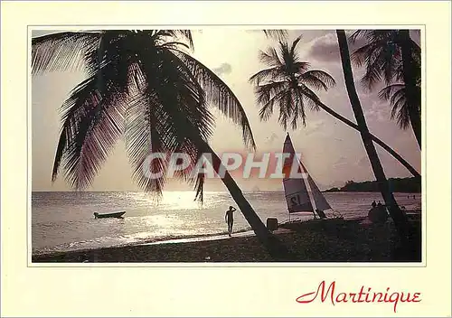Cartes postales moderne Martinique Soleil Argente
