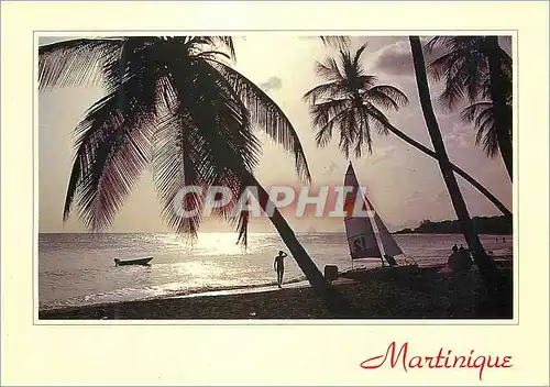Moderne Karte Martinique Soleil Argente