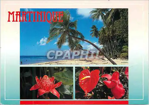 Moderne Karte Martinique Plaisir des tropiques
