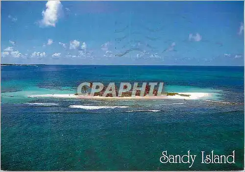 Cartes postales moderne Martinique Image des Antilles