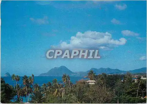 Cartes postales moderne Martinique Paysage au sud de l'ile de l'Anse Figuier au Diamant