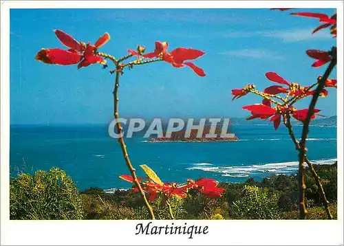 Cartes postales moderne Martinique Les Ilets du Robert