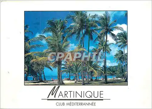Cartes postales moderne Martinique Club mediterranne