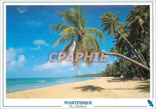 Cartes postales moderne Martinique Le Salines