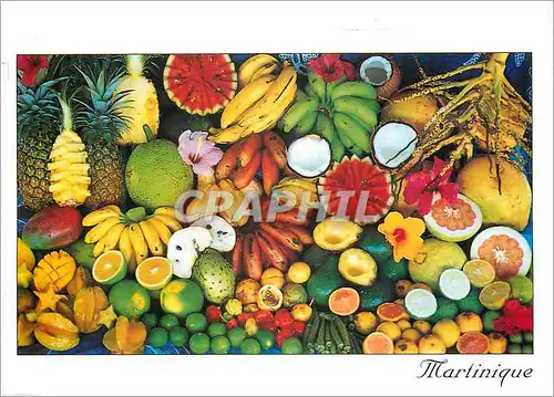 Moderne Karte Martinique Les Fruits des Antilles