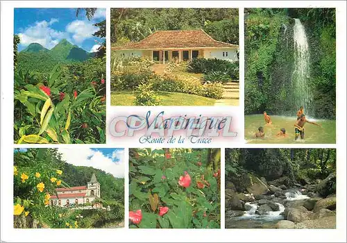 Cartes postales moderne Martinique Route de la Grace