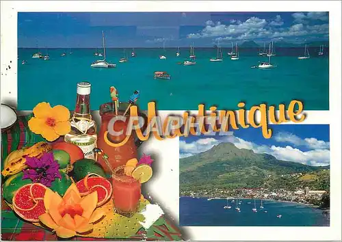 Cartes postales moderne Martinique Saint Anne et Saint Pierre