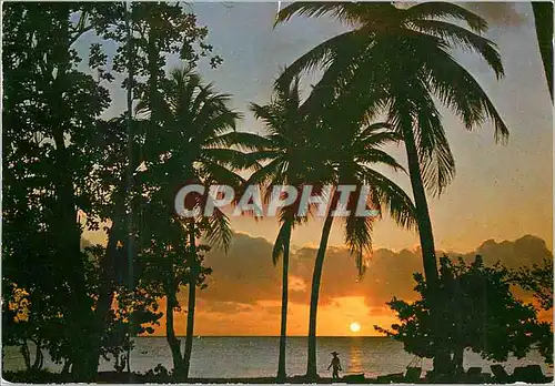 Cartes postales moderne Martinique Antilles Village Les Boucaniers