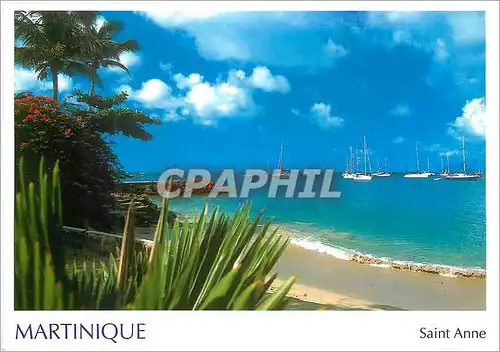 Cartes postales moderne Martinique Saint Anne