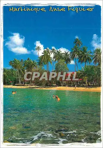 Cartes postales moderne Martinique Anse Figuier
