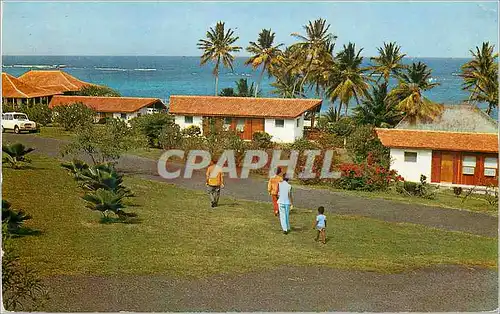 Cartes postales moderne Martinique L'Hotels Caps-Est