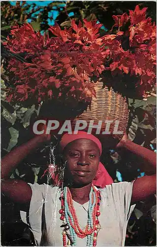 Cartes postales moderne Haiti Young Haitin Flower Vendor