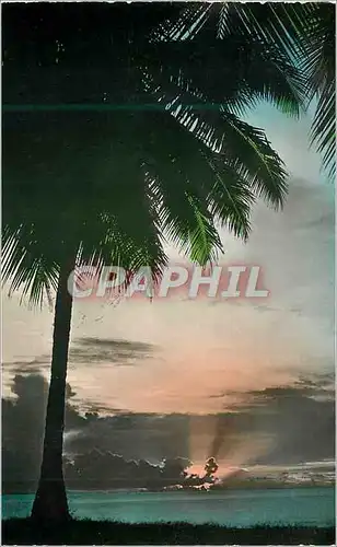 Cartes postales moderne Martinique Madiana Coucher de soleil