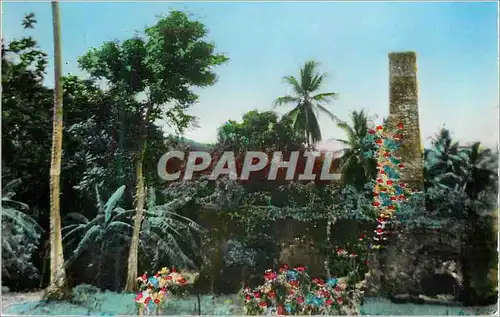 Moderne Karte Martinique La pagerie ancienne