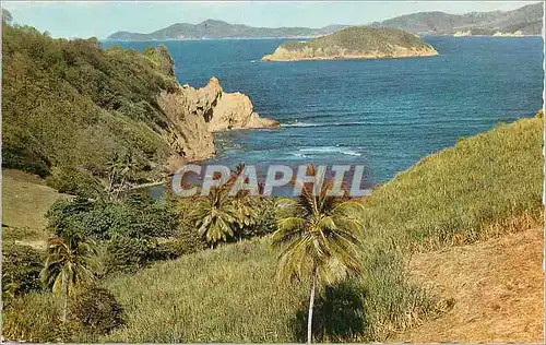 Cartes postales moderne Martinique La Cote Atlantique
