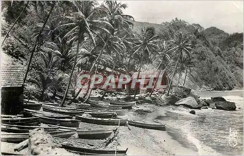 Cartes postales moderne Martinique Basse Pointe La Plage