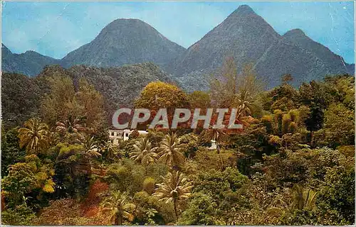 Cartes postales moderne Martinique Les Pitons du Carbet