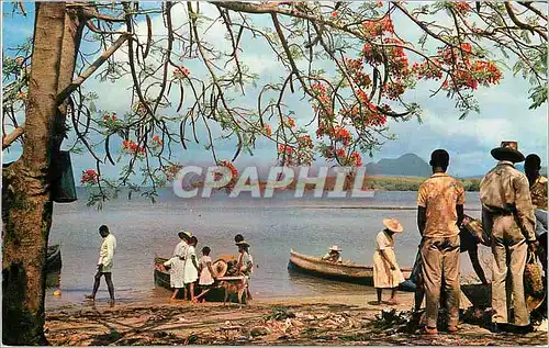 Moderne Karte Martinique Trois-Rivieres Arrivees des Pecheurs