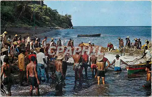 Cartes postales moderne Martinique Coup de senne a St-Pierre