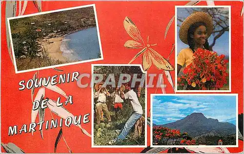 Cartes postales moderne Martinique Village de pecheurs