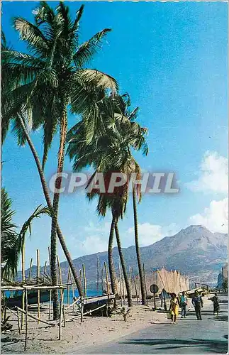 Cartes postales moderne Martinique Plage du Carbet et Montagne Pelee