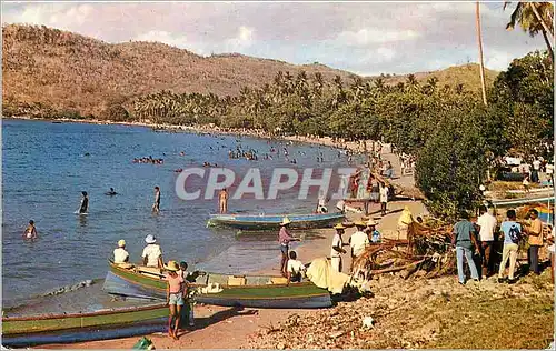 Cartes postales moderne Martinique L'Anse a l'Ane Vue d'ensemble