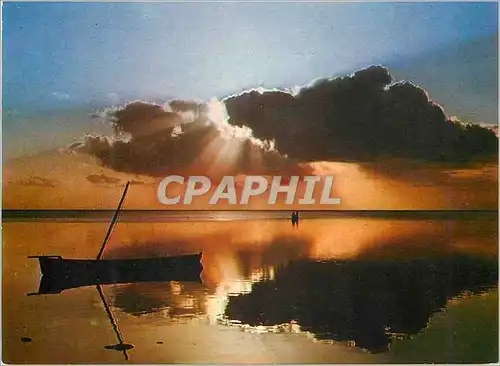 Cartes postales moderne Ile Maurice Contre-jour a Baie du Cap