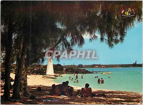 Cartes postales moderne Ile Maurice Grand Sable