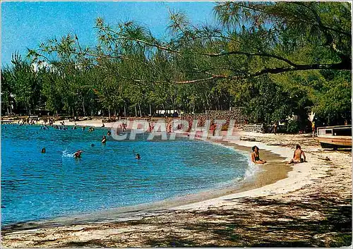 Cartes postales moderne Ile Maurice Une plage de sable fin et blond