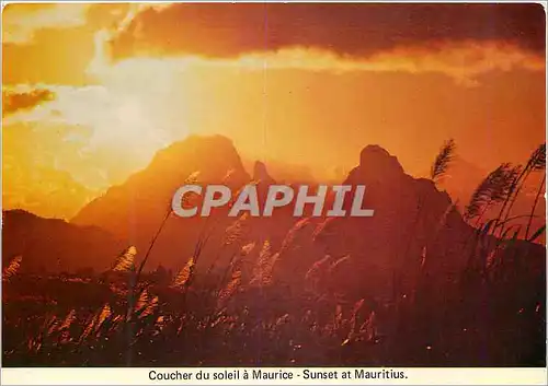 Cartes postales moderne Ile Maurice Coucher du soleil a Maurice