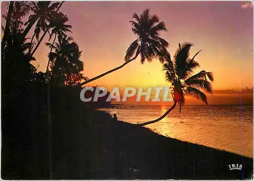 Cartes postales moderne Ile Maurice Pointe aux Sables Coucher de soleil et cocotiers