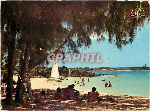 Cartes postales moderne Ile Maurice Grand Sable