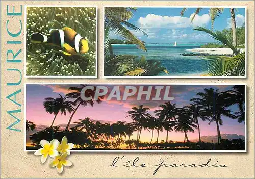 Cartes postales moderne Ile Maurice l'ile paradis