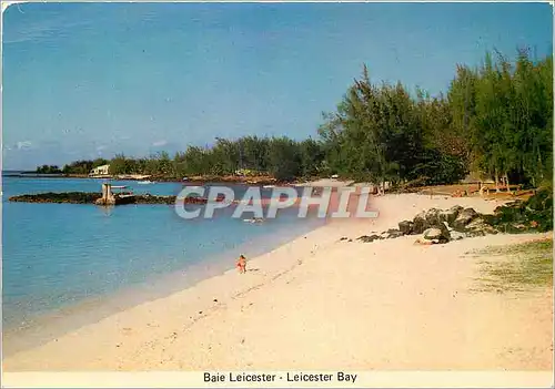 Cartes postales moderne Ile Maurice Baie Leicester