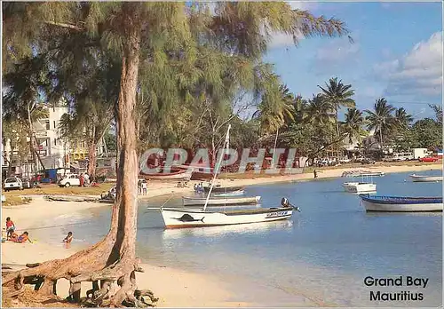 Cartes postales moderne Ile Maurice Grand Bay