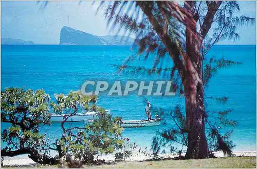 Cartes postales moderne Ile Maurice Le Coin de Mire