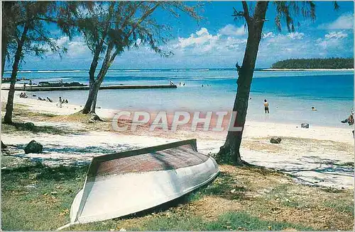 Cartes postales moderne Ile Maurice Plage de Blue Bay