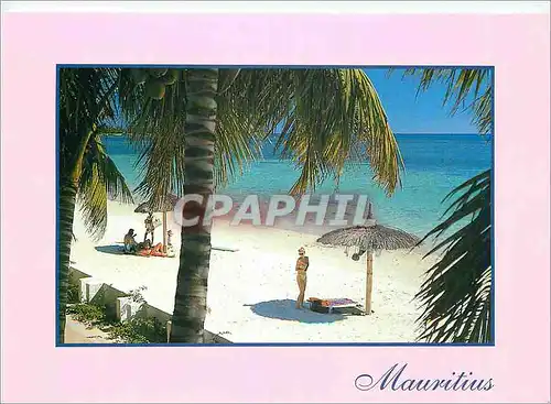 Cartes postales moderne Ile Maurice trou aux biches