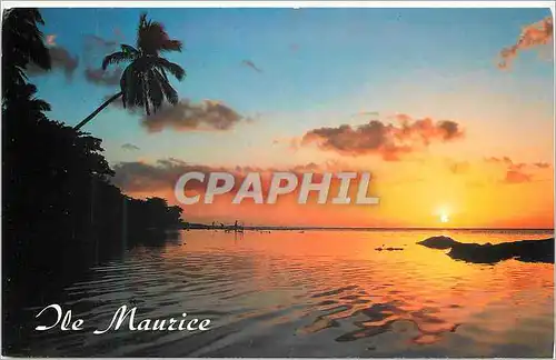 Cartes postales moderne Ile Maurice Crepuscule