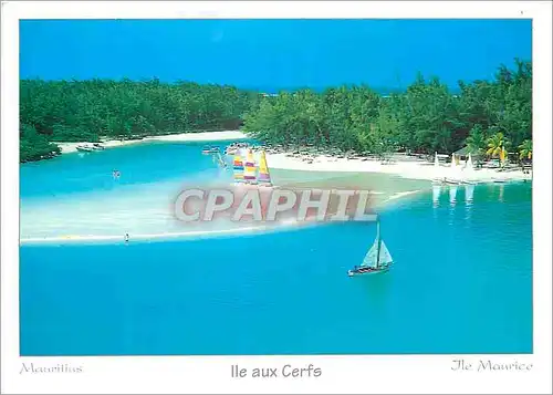 Moderne Karte Ile Maurice Ile aux Cerfs